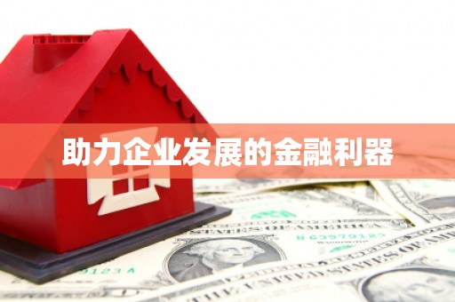 西昌助力企业发展的金融利器