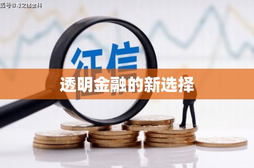 西昌透明金融的新选择