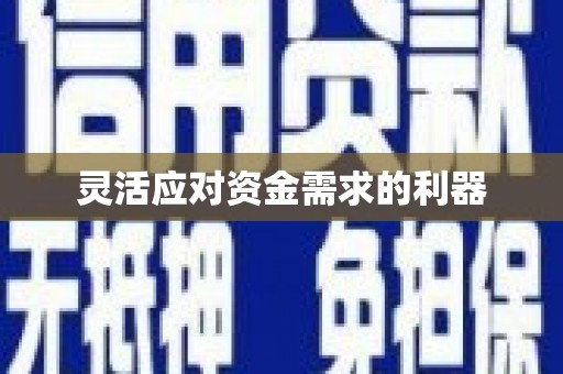 西昌灵活应对资金需求的利器