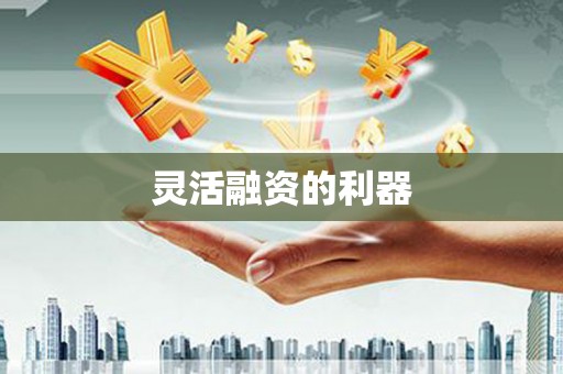 西昌灵活融资的利器