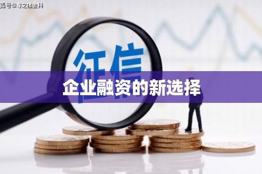 西昌企业融资的新选择