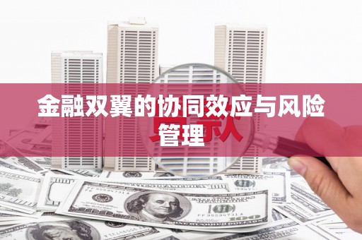 西昌金融双翼的协同效应与风险管理