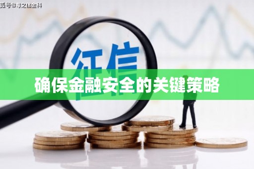 西昌确保金融安全的关键策略