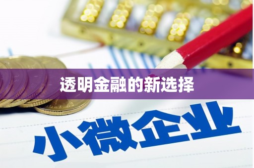 西昌透明金融的新选择