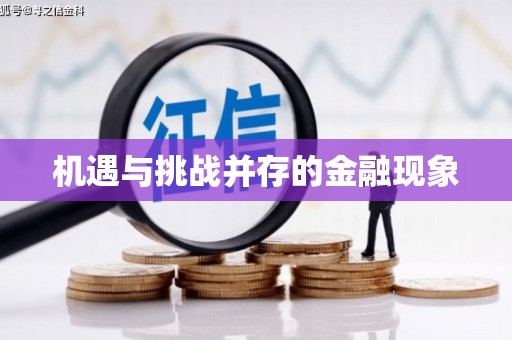 西昌机遇与挑战并存的金融现象