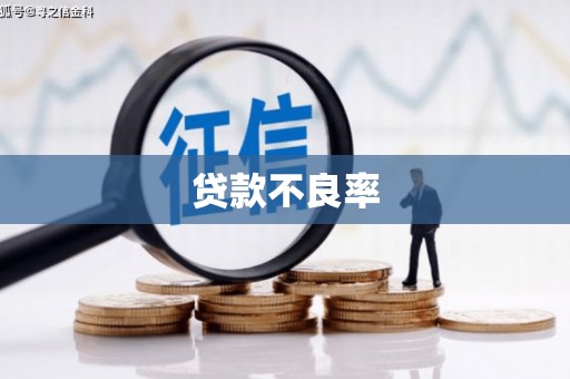 西昌贷款不良率