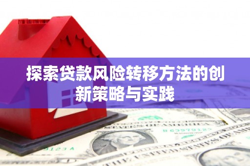 西昌探索贷款风险转移方法的创新策略与实践