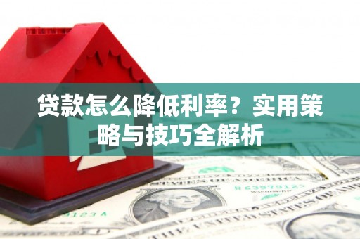 西昌贷款怎么降低利率？实用策略与技巧全解析